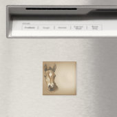 BROWN-HORSE MAGNET (In Situ (Geschirrspüler))