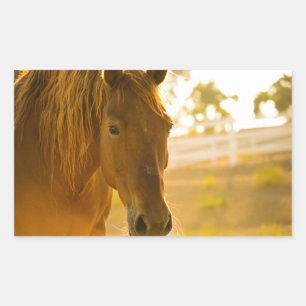 Brown Horse Nah-Up Rechteckiger Aufkleber