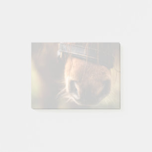 Brown Horse Nose Foto Niedlich und rustikal Post-it Klebezettel