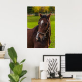 Brown Horse Portrait Poster (Heimbüro)