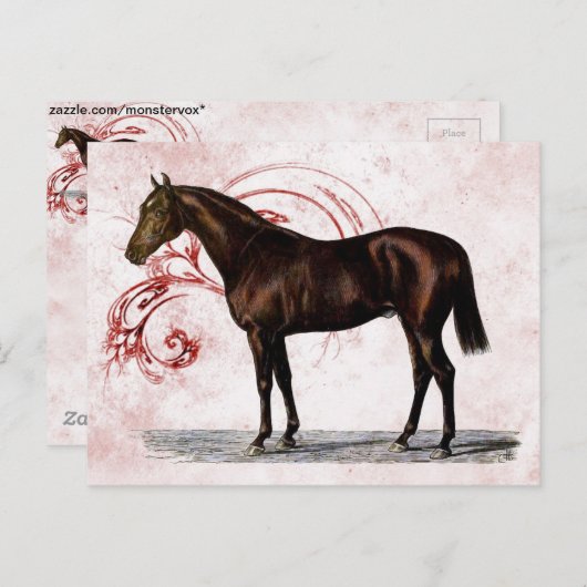 Brown Horse Postkarte (Vorne/Hinten)