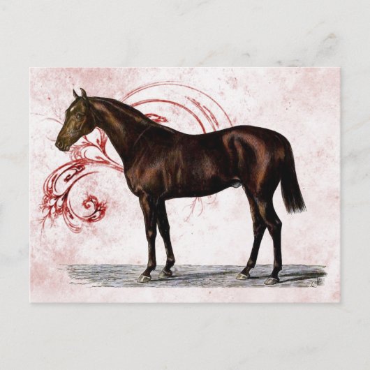 Brown Horse Postkarte (Vorderseite)