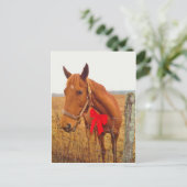Brown Horse Red Bow Postkarte (Stehend Vorderseite)