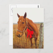 Brown Horse Red Bow Postkarte (Vorne/Hinten)