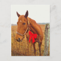Brown Horse Red Bow