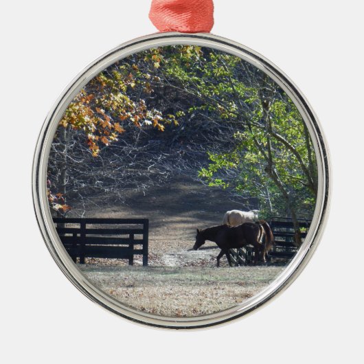 Brown Horse walking through Fence Ornament Aus Metall (Vorne)