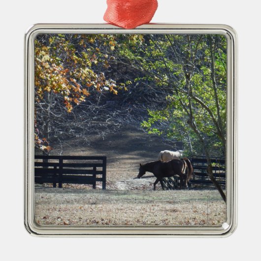 Brown Horse walking through Fence Silbernes Ornament (Vorne)