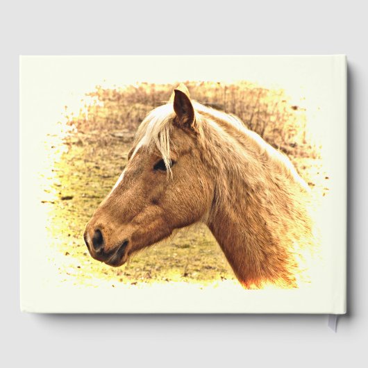 Brown Horse Yellow Sun Birthday Party Gästebuch (Rückseite)