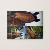 Brown Horses Foto Collage, Puzzle (Horizontal)