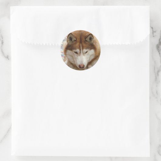 Brown Husky Stickers (Tasche)