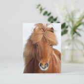 Brown Icelandic Horse Portrait Postkarte (Stehend Vorderseite)