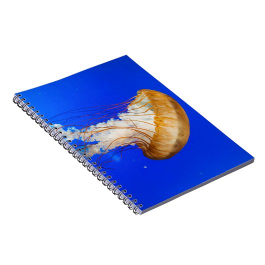 BROWN JELLYFISH NOTIZBLOCK (Rechte Seite)