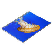 BROWN JELLYFISH NOTIZBLOCK (Linke Seite)