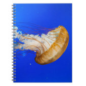 BROWN JELLYFISH NOTIZBLOCK (Vorderseite)