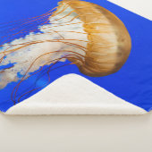 BROWN JELLYFISH SHERPADECKE (3/4)