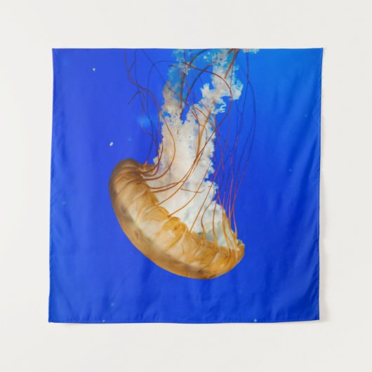 BROWN JELLYFISH WANDTEPPICH (Vorderseite (Horizontal))