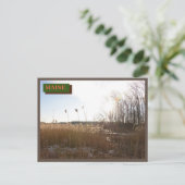 Brown Kittery Seapoint Beach Maine Nature Postkarte (Stehend Vorderseite)