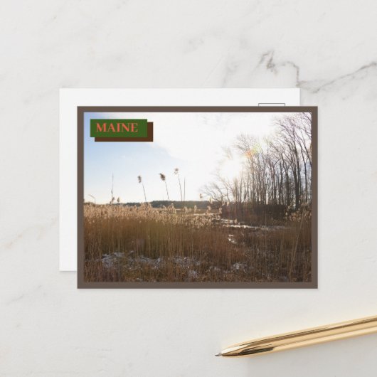 Brown Kittery Seapoint Beach Maine Nature Postkarte (Vorderseite/Rückseite Beispiel)