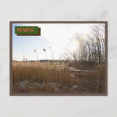 Brown Kittery Seapoint Beach Maine Nature Postkarte (Vorderseite)