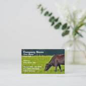 Brown-Kuh, die auf Gras füttert Visitenkarte (Stehend Vorderseite)