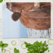 Brown-Kuh Handtuch (Gefaltet)