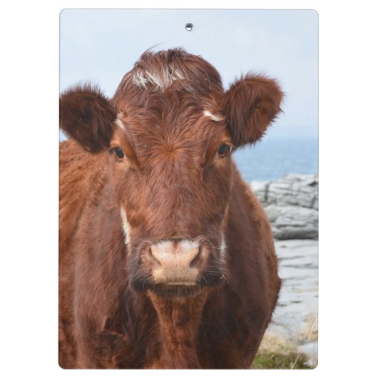 Brown-Kuh Klemmbrett (Rückseite)