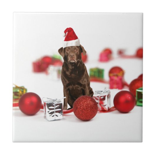 Brown Labrador Dog Christmas w Geschenke Weihnacht Fliese (Vorderseite)