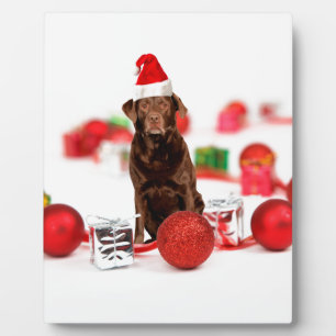 Brown Labrador Dog Christmas w Geschenke Weihnacht Fotoplatte