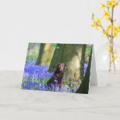 Brown Labrador in den Bluebells Karte (Gelbe Blume)