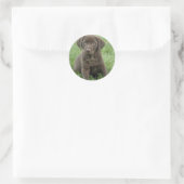 Brown Labrador Puppy Stickers (Tasche)