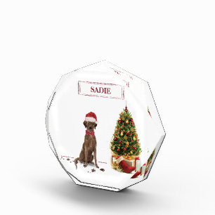 Brown Labrador Retriever Funny Christmas Dog Tree Fotoblock