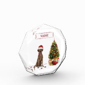 Brown Labrador Retriever Funny Christmas Dog Tree Fotoblock (Links)