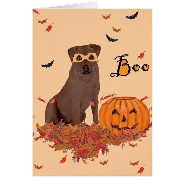 Brown Labrador Retriever Halloween (Vorne)