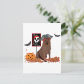 Brown Labrador Retriever Pirate Postkarte (Stehend Vorderseite)
