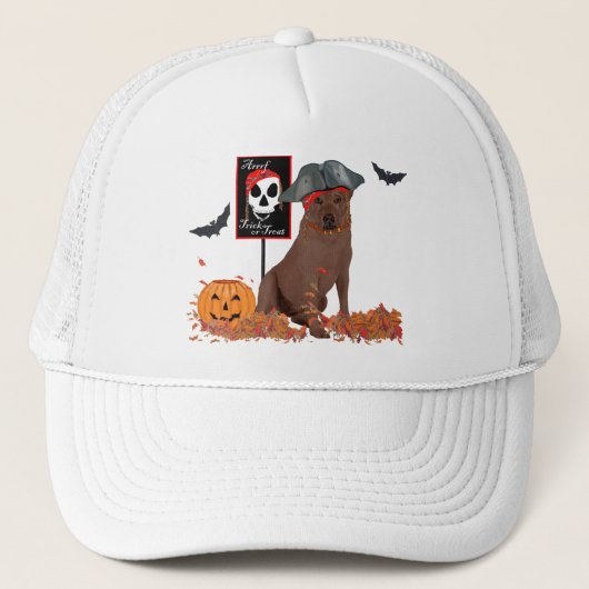 Brown Labrador Retriever Pirate Truckerkappe (Vorderseite)