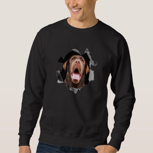 Brown labrador retriever portrait Premium Sweatshirt (Vorderseite)