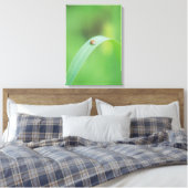 Brown Ladybug Leinwanddruck (Insitu (Schlafzimmer))