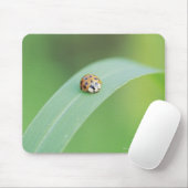 Brown Ladybug Mousepad (Mit Mouse)
