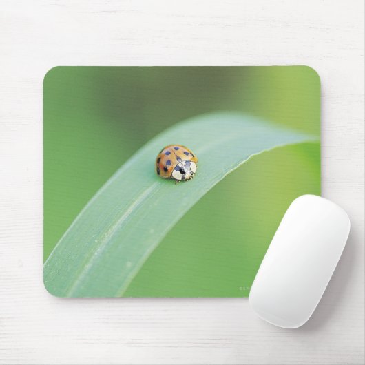 Brown Ladybug Mousepad (Mit Mouse)