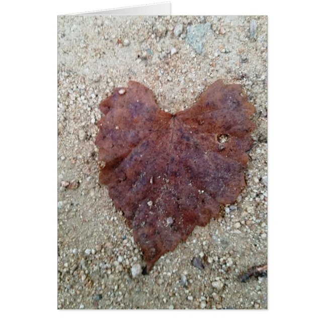 Brown Leaf Heart (Vorne)
