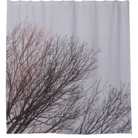 BROWN LEAFLESS BAUM UNTER WEISSER HAUT DUSCHVORHANG (Vorderseite)