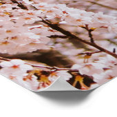 BROWN LEAFLESS BAUM UNTER WEISSER HAUT POSTER (Ecke)