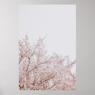 BROWN LEAFLESS BAUM UNTER WEISSER HAUT POSTER