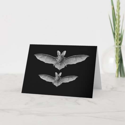 Brown & Lesser Long-eared bats Karte (Vorderseite)