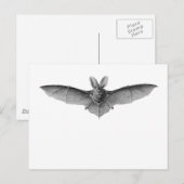 Brown & Lesser Long-eared bats Postkarte (Vorne/Hinten)