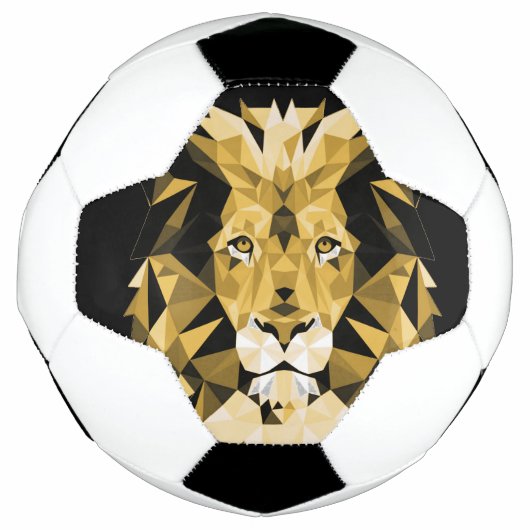 Brown Lion Fußball (Vorderseite)