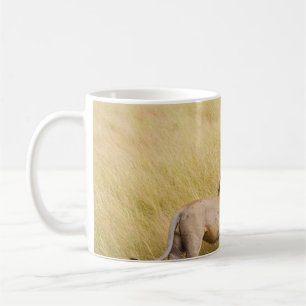 BROWN LION ON ON GRASS FIELD WÄHREND DES TAGES KAFFEETASSE