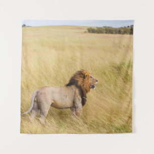 BROWN LION ON ON GRASS FIELD WÄHREND DES TAGES WANDTEPPICH