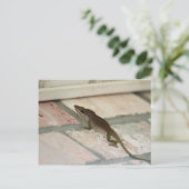 Brown Lizard Postkarte (Stehend Vorderseite)