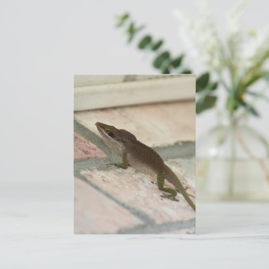 Brown Lizard Postkarte (Stehend Vorderseite)